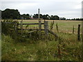 SE5987 : Stile, High Baxton's Farm by Mick Garratt