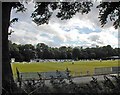 Cricket match at Shifnal C C