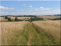 SP0024 : Cotswold Way east of Cleeve Common by Terry Jacombs