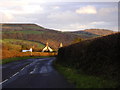 View from Marshwood showing Pilsdon Pen