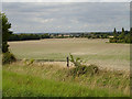 TL2539 : View towards Bedfordshire from footpath to Newnham Hill by Robin Hall