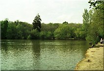ST8352 : Lake at Brokerswood Country Park by Alan Cooper