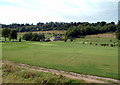 Woldingham Golf Club from Halliloo Valley Road CR3