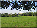 Horse Pasture, Navestock Heath, Essex