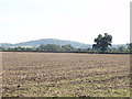 Ploughed field near Owlswick, with view to the Chilterns