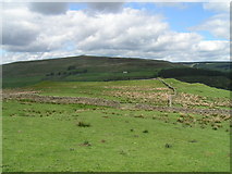 NY6948 : Whitley Castle Roman Fort by Dave Dunford