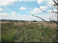 Farmland near Broughton Brook