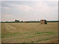 SO9646 : Open fields near Wick by Dave Bushell