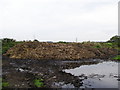 Manure Heap