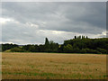 River Terrace to the north and east of cressage bridge.