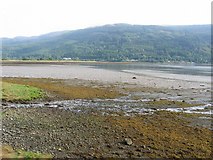 NS1581 : Mudflats, Holy Loch by Richard Webb