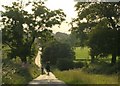 Country Lane beside Golf Course