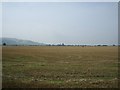 Fields near Little Comberton