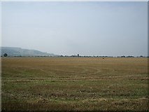 SO9743 : Fields near Little Comberton by Dave Bushell