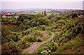 Walbottle quarry