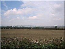 SP0635 : Fields near Laverton by Dave Bushell