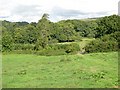 Pasture land in the Erme Valley near Thornham