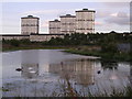 Westercommon Tower Blocks