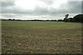 Farm land near Culcheth