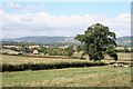 Norton Fitzwarren: view north to the Quantocks