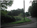 Main Street and Church Tower, Bleasby