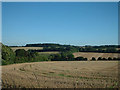 After the harvest - fields between Dean and Sparsholt