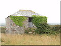 SW9075 : Field barn at Trethillick by David Hawgood