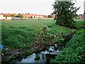 The Gorse Brook