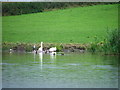 Middlewich Flash, Croxton Hall