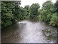 River Mersey from Cheadle Bridge