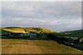 Burra Dale from Veensgarth