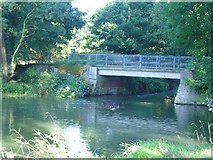 TQ1457 : Bridge over the River Mole by Andrew Longton