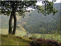 SN6974 : View across the valley of the Nant Cwmnewydion. by Bob Bowyer