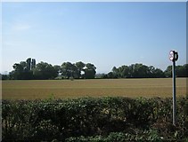 SP0638 : Field near Childswickham by Dave Bushell