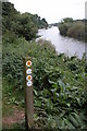 SO8551 : River Severn below Worcester's southern link road bridge by Philip Halling