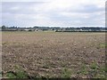 Farmland, Clifton, Beds