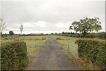 SO9352 : Field and Gates near Upton Snodsbury by Dave Bushell