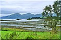 Castle Stalker viewed across Loch Laich