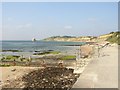 Coast from Colwell Chine to Fort Albert