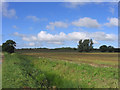 Fields at Barleylands Farm, Great Burstead, Essex