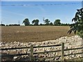 Farmland Chase Farm, Stagg Hill