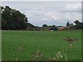 Gathering bales in fields at Hafod House Farm