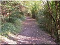 Path North of Woldingham