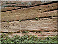 Detail of current bedding in road cutting on north side of the B 5063