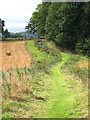 Path to Burial Ground below Dunbarney House