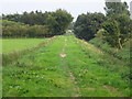 Footpath from cycle path