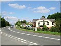 Lion on the A134