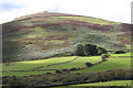 Pistyll: Mynydd Carnguwch