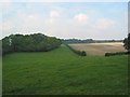 Footpath from Ashton towards Stakes Farm