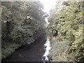 The Crane River from Hanworth Road Bridge